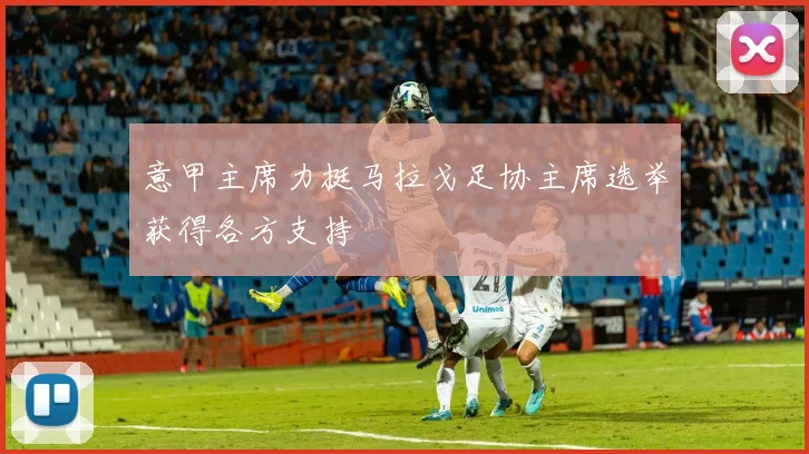 意甲主席力挺马拉戈足协主席选举获得各方支持